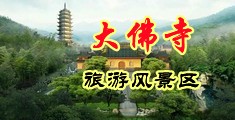 大jj插骚穴的免费视频中国浙江-新昌大佛寺旅游风景区